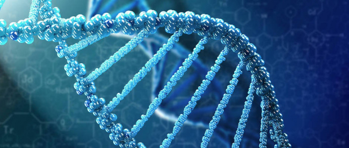 Forensic DNA Services - Interpretation and Identification