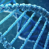 Forensic DNA Services - Interpretation and Identification