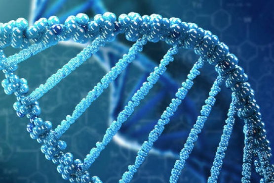 Forensic DNA Services - Interpretation and Identification